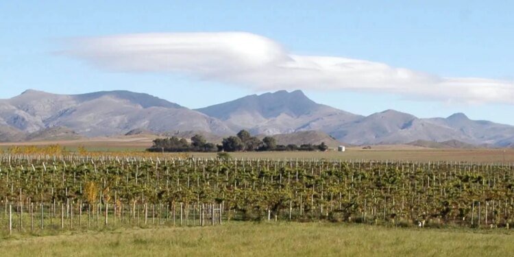 Saldungaray: la escapada ideal para disfrutar vinos y naturaleza en el sur