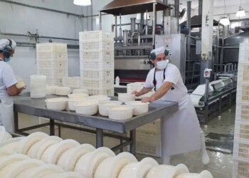 Saputo desplaza a La Serenísima y SanCor desaparece del ranking lácteo