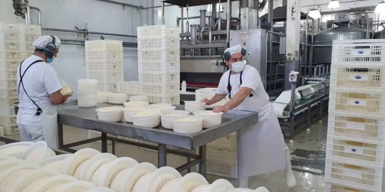 Saputo desplaza a La Serenísima y SanCor desaparece del ranking lácteo