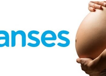 La ANSES confirma cuándo se cobrará la Asignación por Embarazo en julio