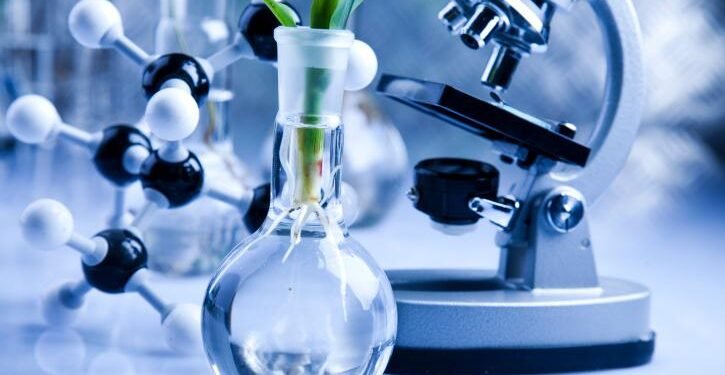 Día del Bioingeniero: homenaje a los impulsores de la salud y la innovación