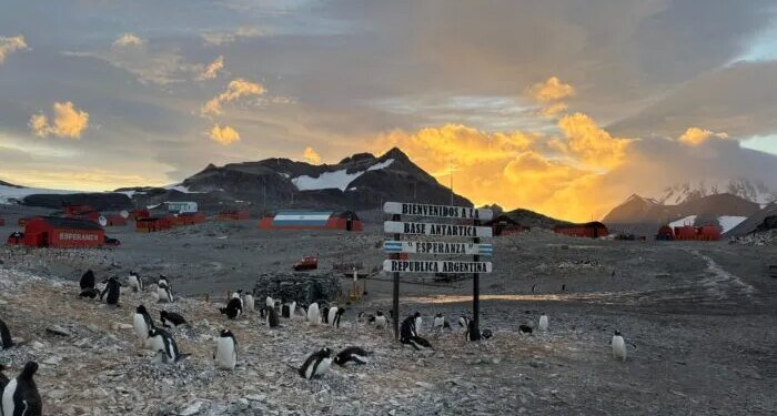 La vida cotidiana en la Antártida, según el capitán Fernando Quintana