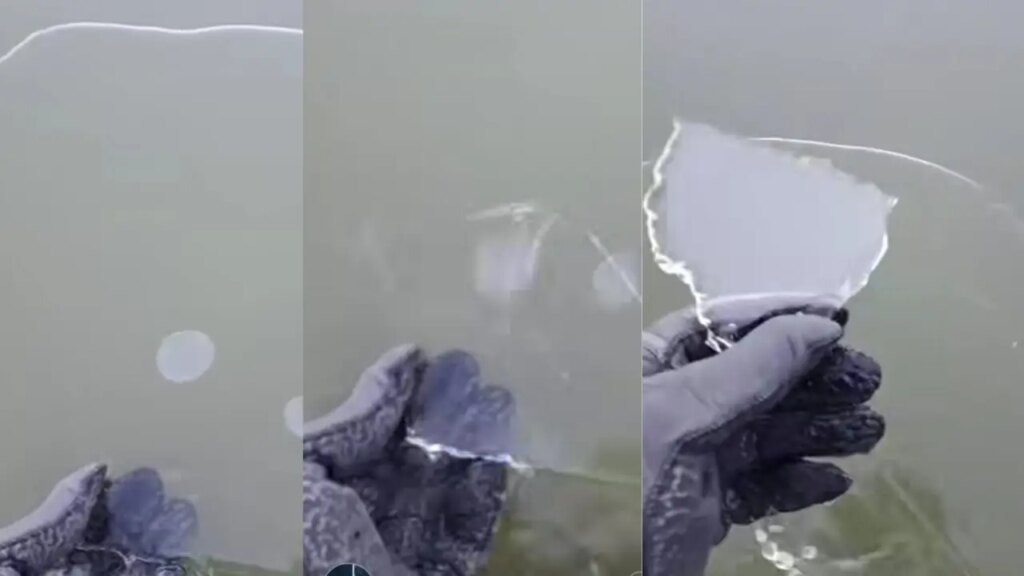 Ola polar sorprende a Chascomús con laguna parcialmente helada