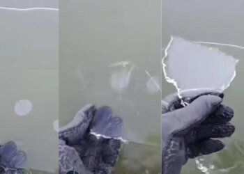 Ola polar sorprende a Chascomús con laguna parcialmente helada