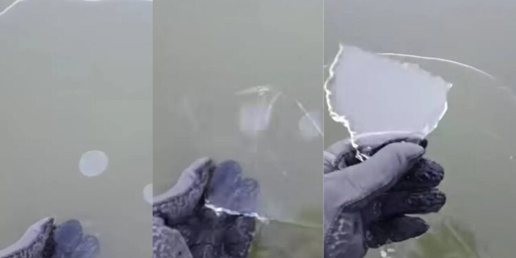 Ola polar sorprende a Chascomús con laguna parcialmente helada