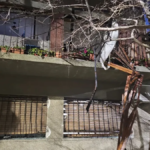 Explosión por gas en Agronomía deja seis heridos y daña varios departamentos
