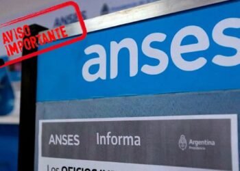 ANSES confirma las fechas de cobro de AUH para julio y agosto 2025
