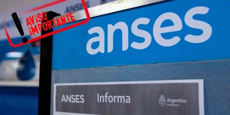 ANSES confirma las fechas de cobro de AUH para julio y agosto 2025