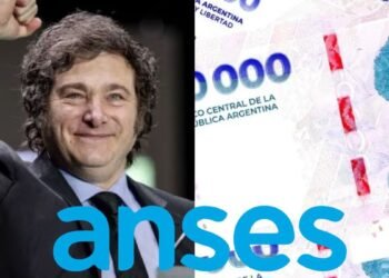 ANSES retiene el 20% de la AUH: ¿cómo acceder al reintegro?