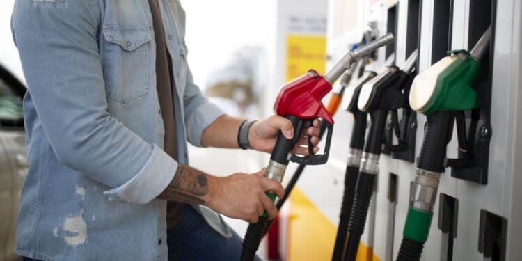 Senadores bonaerenses buscan habilitar el autodespacho de combustibles