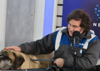 ANSES asegura continuidad en pagos y bono en julio sin afectaciones por feriados