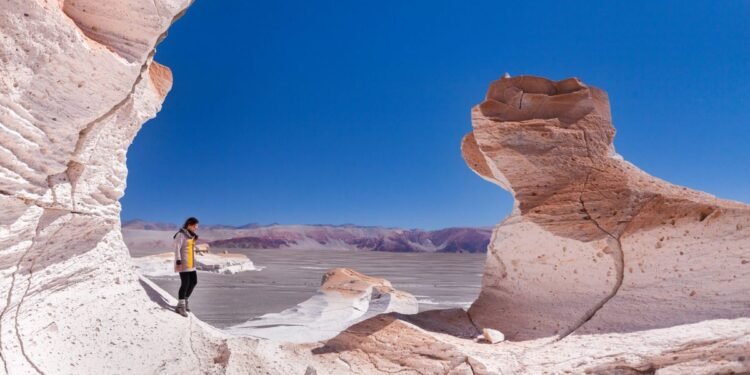 Campo de Piedra Pómez: un regalo natural en la Puna catamarqueña