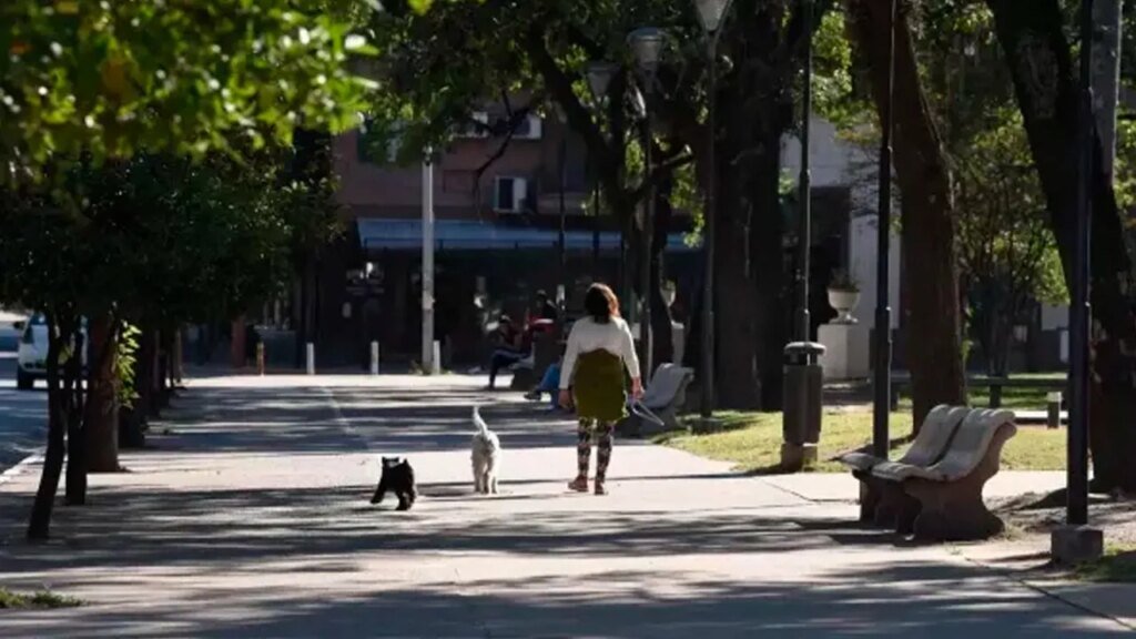 Clima invernal: neblinas y temperaturas suaves en todo el país