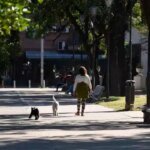 Clima invernal: neblinas y temperaturas suaves en todo el país