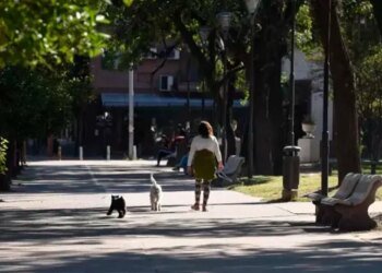 Clima invernal: neblinas y temperaturas suaves en todo el país