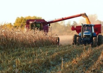 Productores agropecuarios rechazan derechos de exportación y exigen acciones urgentes