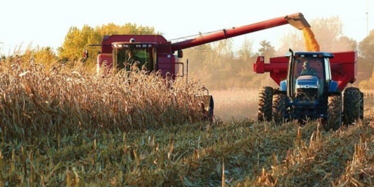 Productores agropecuarios rechazan derechos de exportación y exigen acciones urgentes