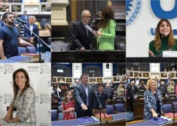 Una tercera parte de legisladores bonaerenses no podrán reeleccionarse