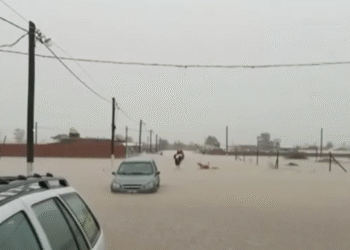 Milei crea fondo de $10.000 millones para ayudar a damnificados por inundaciones