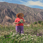 Ocho pueblos argentinos destacan en la competencia Best Tourism Villages