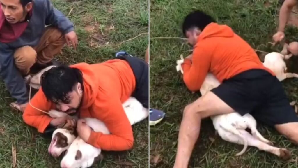 Instructor de artes marciales enfrenta y controla ataque de pitbulls en Brasil