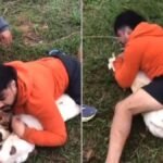 Instructor de artes marciales enfrenta y controla ataque de pitbulls en Brasil