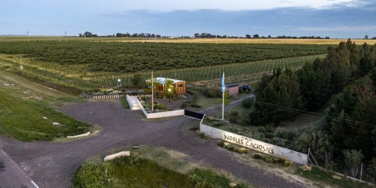 Finca Nobles Caciques destaca con su aceite de oliva en Caminos y Sabores