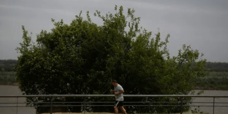 El SMN advierte sobre neblinas y temperaturas frescas en Buenos Aires