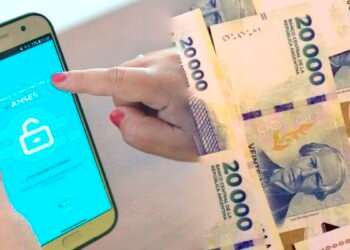 ¿Se puede cobrar el 20% retenido de la AUH? Cómo hacer la presentación.