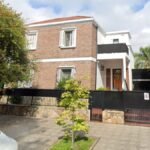 Milo, el único sobreviviente de la tragedia en Villa Devoto, ya tiene guarda