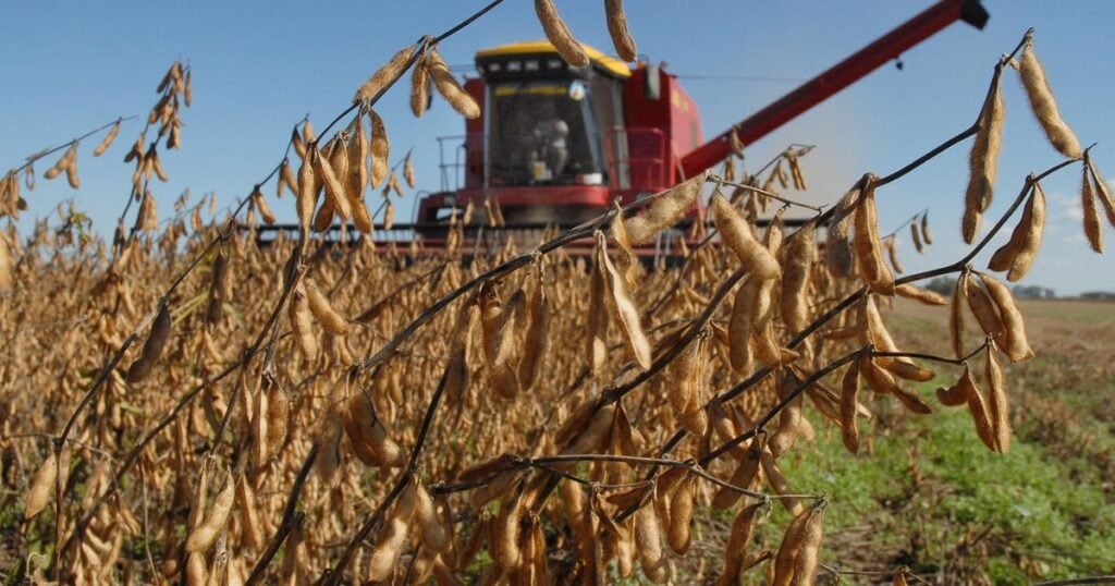 Milei anuncia baja de retenciones y genera ovación en La Rural 2025