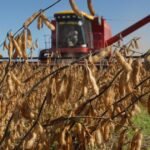 Milei anuncia baja de retenciones y genera ovación en La Rural 2025