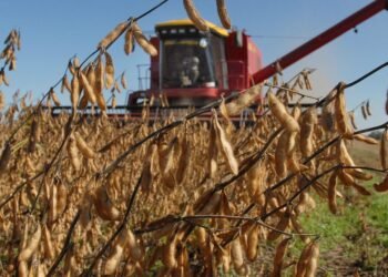 Milei anuncia baja de retenciones y genera ovación en La Rural 2025