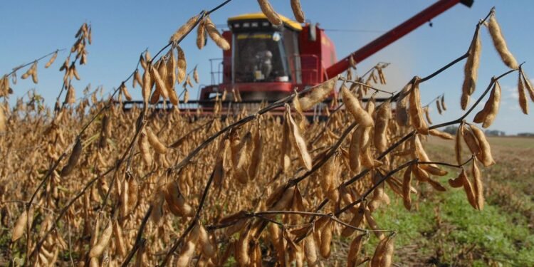 Milei anuncia baja de retenciones y genera ovación en La Rural 2025