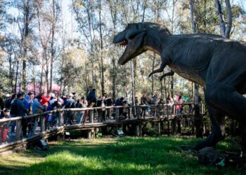 Tecnópolis abre sus puertas con talleres de radio para toda la familia