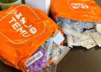 Temu, la app china que revoluciona las compras online en Argentina