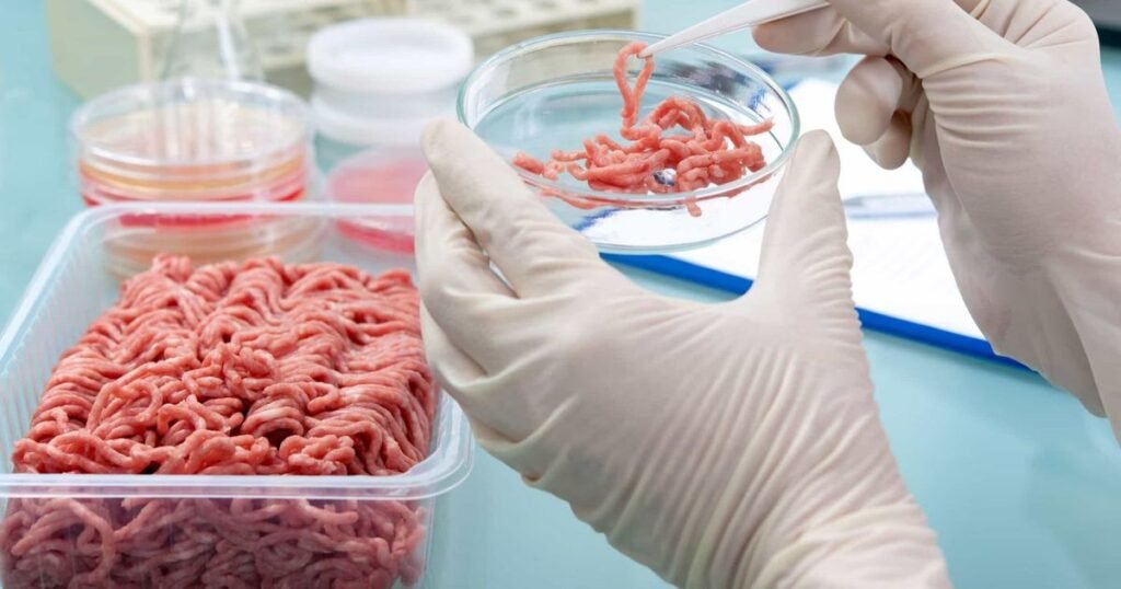 Detectan 40 casos de triquinosis en la provincia de Buenos Aires y alertan por brote