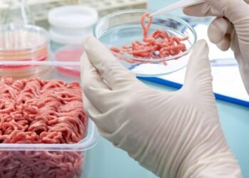 Detectan 40 casos de triquinosis en la provincia de Buenos Aires y alertan por brote