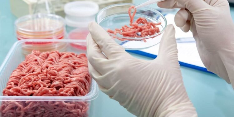 Detectan 40 casos de triquinosis en la provincia de Buenos Aires y alertan por brote