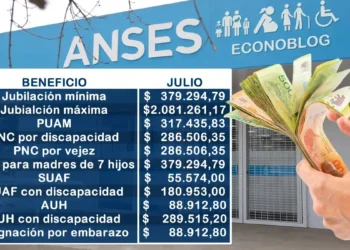 Anses confirmó los nuevos montos de pagos y aumentos para julio 2025