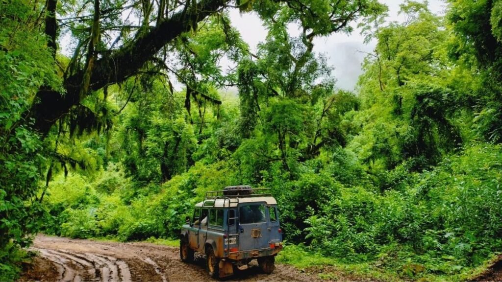 San Francisco, el refugio de paz en las yungas jujeñas que debes visitar