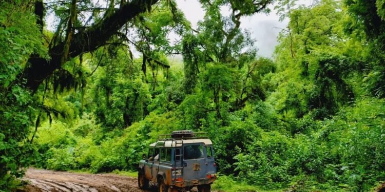 San Francisco, el refugio de paz en las yungas jujeñas que debes visitar