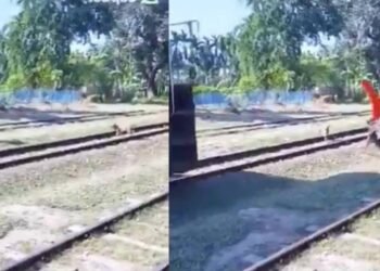 Mujer fallece arrollada por un tren al intentar salvar a su perro