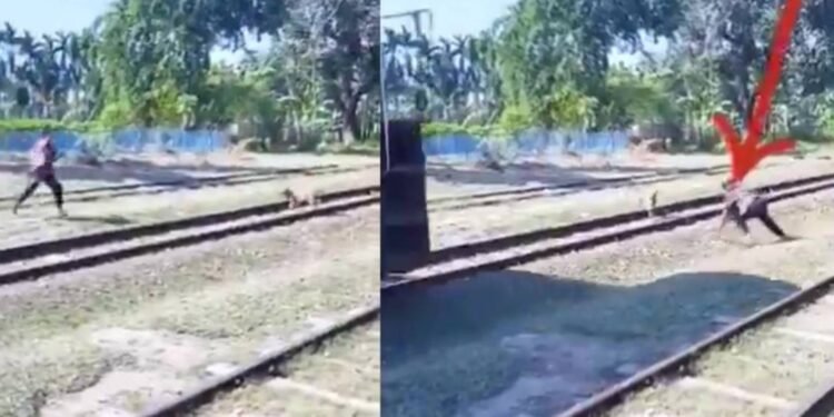 Mujer fallece arrollada por un tren al intentar salvar a su perro