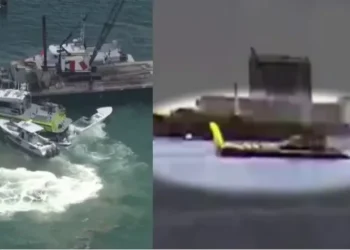 Javier Milei destituye a funcionario por información incorrecta sobre accidente