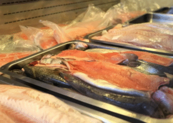 Cuenta DNI: ¿Qué descuentos y ofertas ofrece el Banco Provincia en agosto?