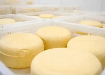 Detectan queso contaminado como origen de brote de listeriosis en el país