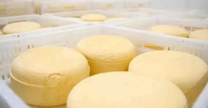 Detectan queso contaminado como origen de brote de listeriosis en el país