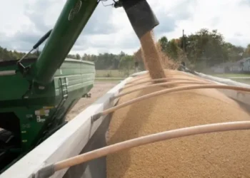 Niña de 5 años muere tras caer en tolva de maíz en Córdoba