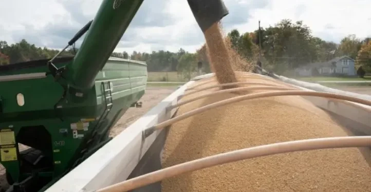 Niña de 5 años muere tras caer en tolva de maíz en Córdoba